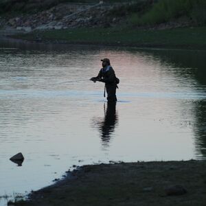 Gallery Photo 8