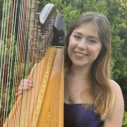 Heavenly Ambience Harp - Classical, Pop, Any Genre, profile image