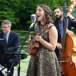 Alex Levin Music | NYC Wedding Music & Event Bands, profile image