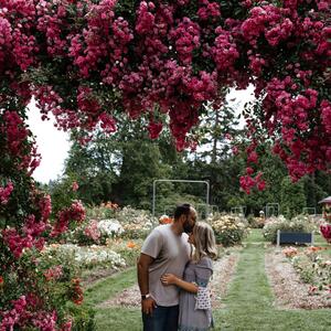 Gallery Photo 36
