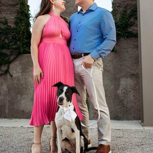 Gallery Photo 7
