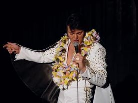 Caesare Belvano: THE DREAM KING - Elvis Impersonator - Silver Lake, OH - Hero Gallery 1