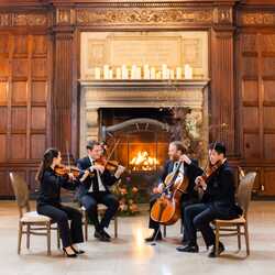 Fenway String Quartet, profile image