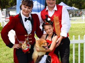 Circus Dog Show by Menestrelli Entertainment, LLC - Animal For A Party - Orlando, FL - Hero Gallery 2
