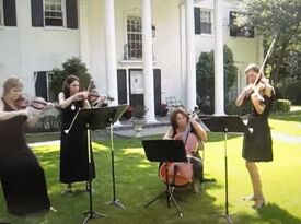 Quinn Ensembles - String Quartet - Asheville, NC - Hero Gallery 3