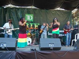 Jah Love - Reggae Band - Mississauga, ON - Hero Gallery 3