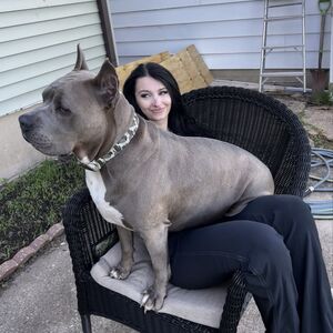 Gallery Photo 40