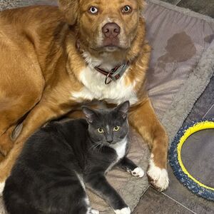 Gallery Photo 21