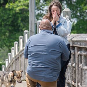 Gallery Photo 51