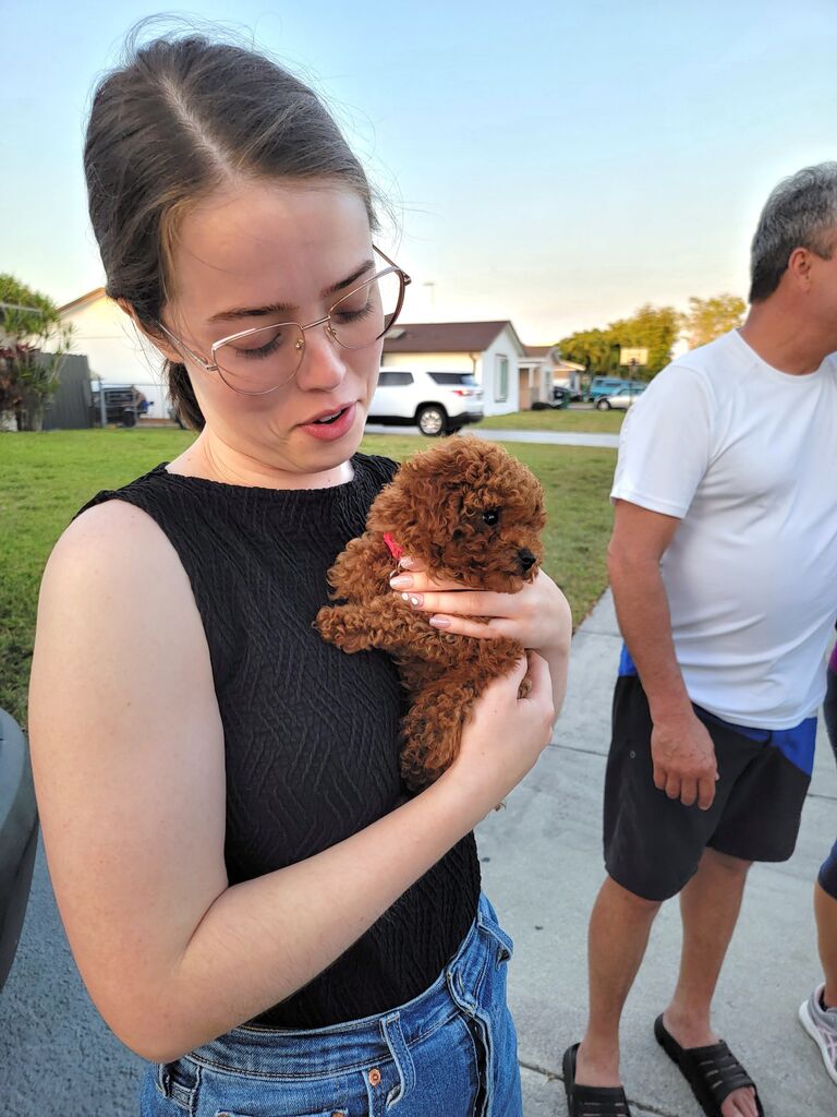 Alysa finds the smallest puppy in the world 