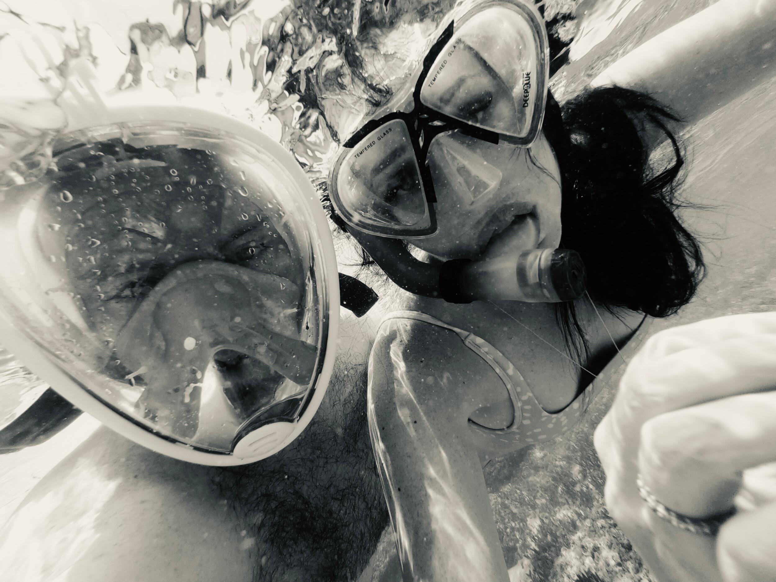 Swim with dolphins 