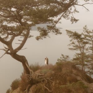 Gallery Photo 175