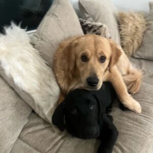 Gallery Photo 4