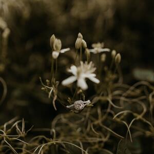 Gallery Photo 75