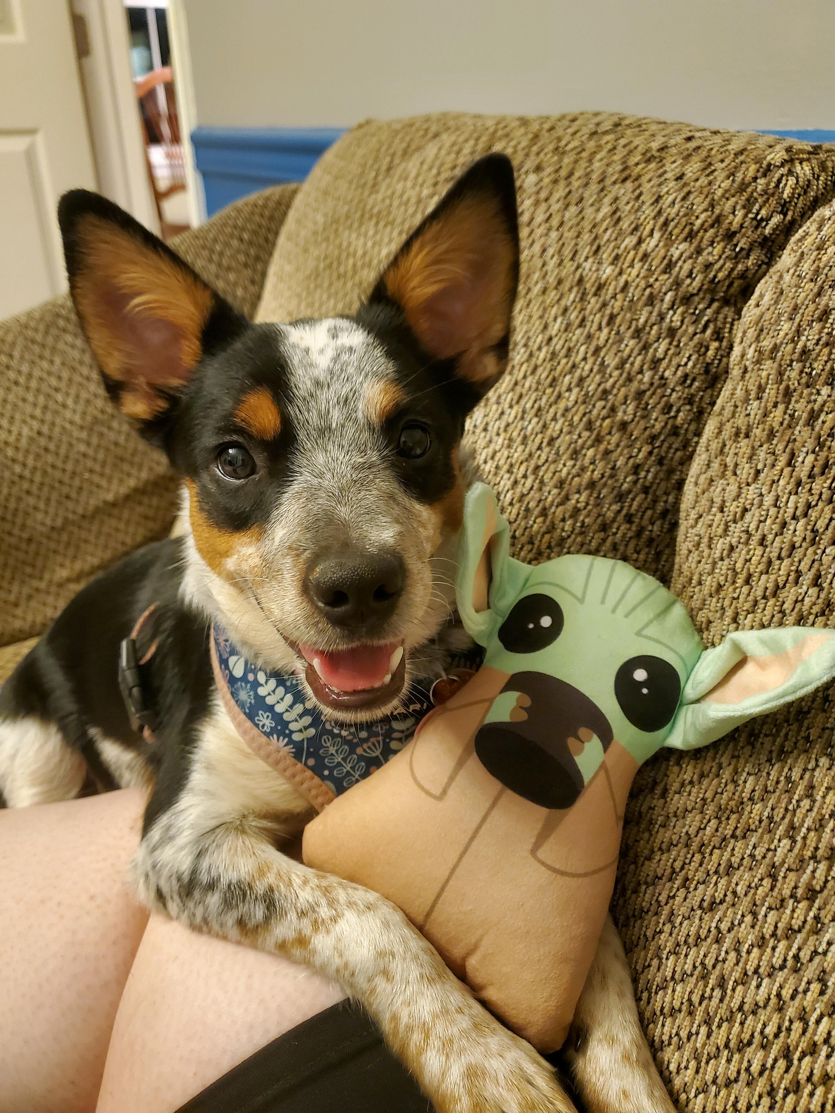 Ethan and Kelsey brought home Uma!