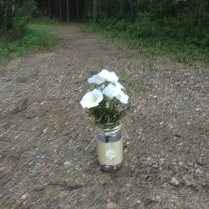 Gallery Photo 14