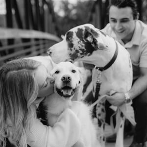 Gallery Photo 30