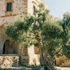 Gallery Photo 15