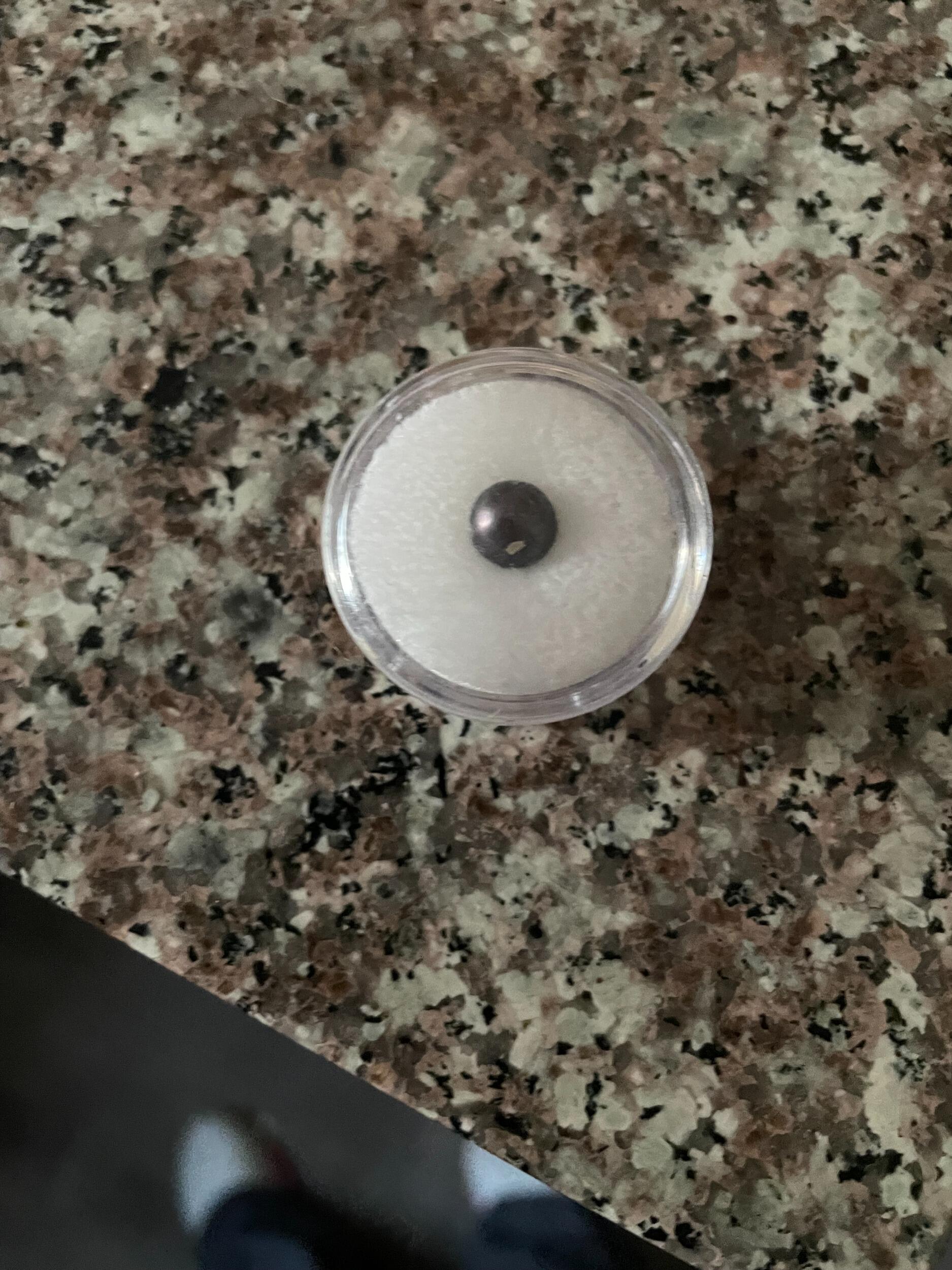 The pearl. "The black pearl" that won a  bet resulting in us being ENGAGED!!