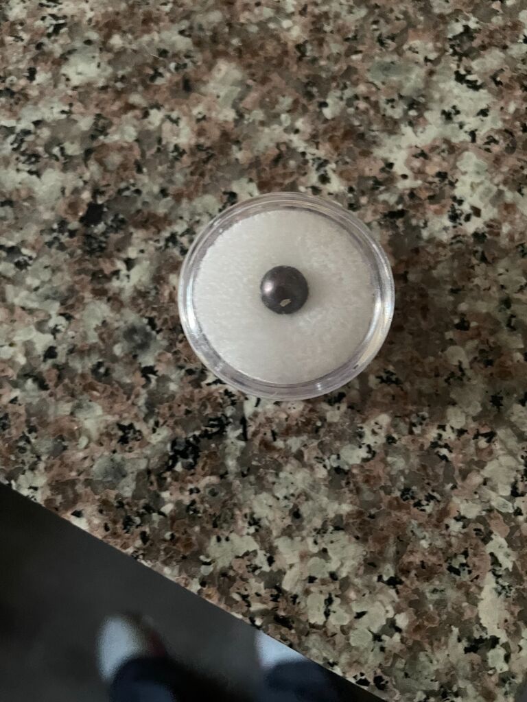 The pearl. "The black pearl" that won a  bet resulting in us being ENGAGED!!