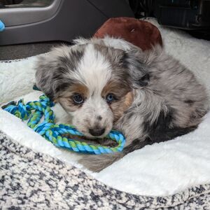 Gallery Photo 129