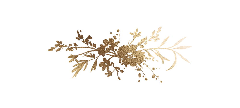 Top Theme Image