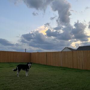 Gallery Photo 24