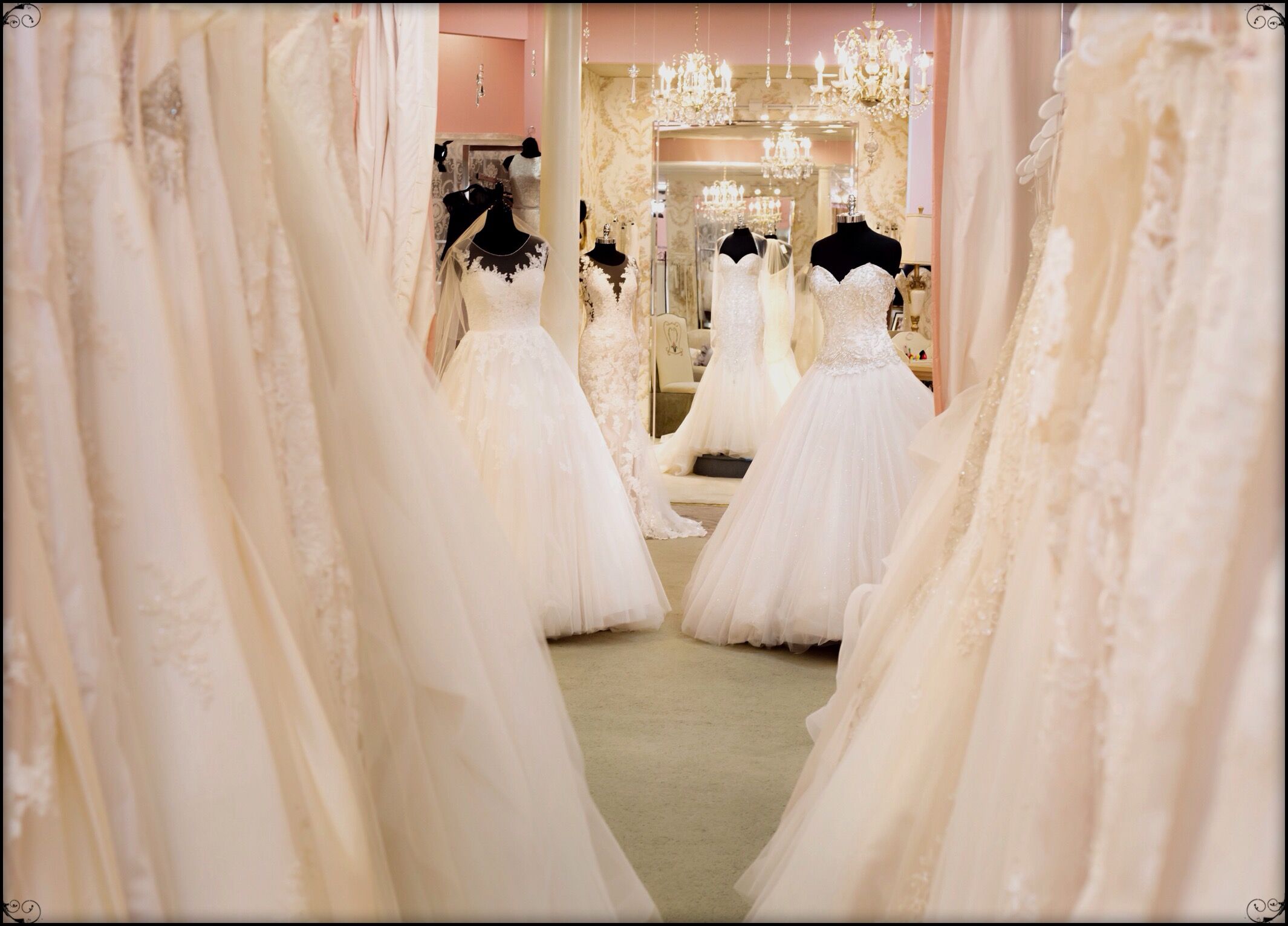 Wedding Dress Shops In Lexington Ky | ariella-myanna