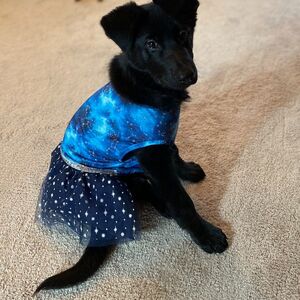 Gallery Photo 21