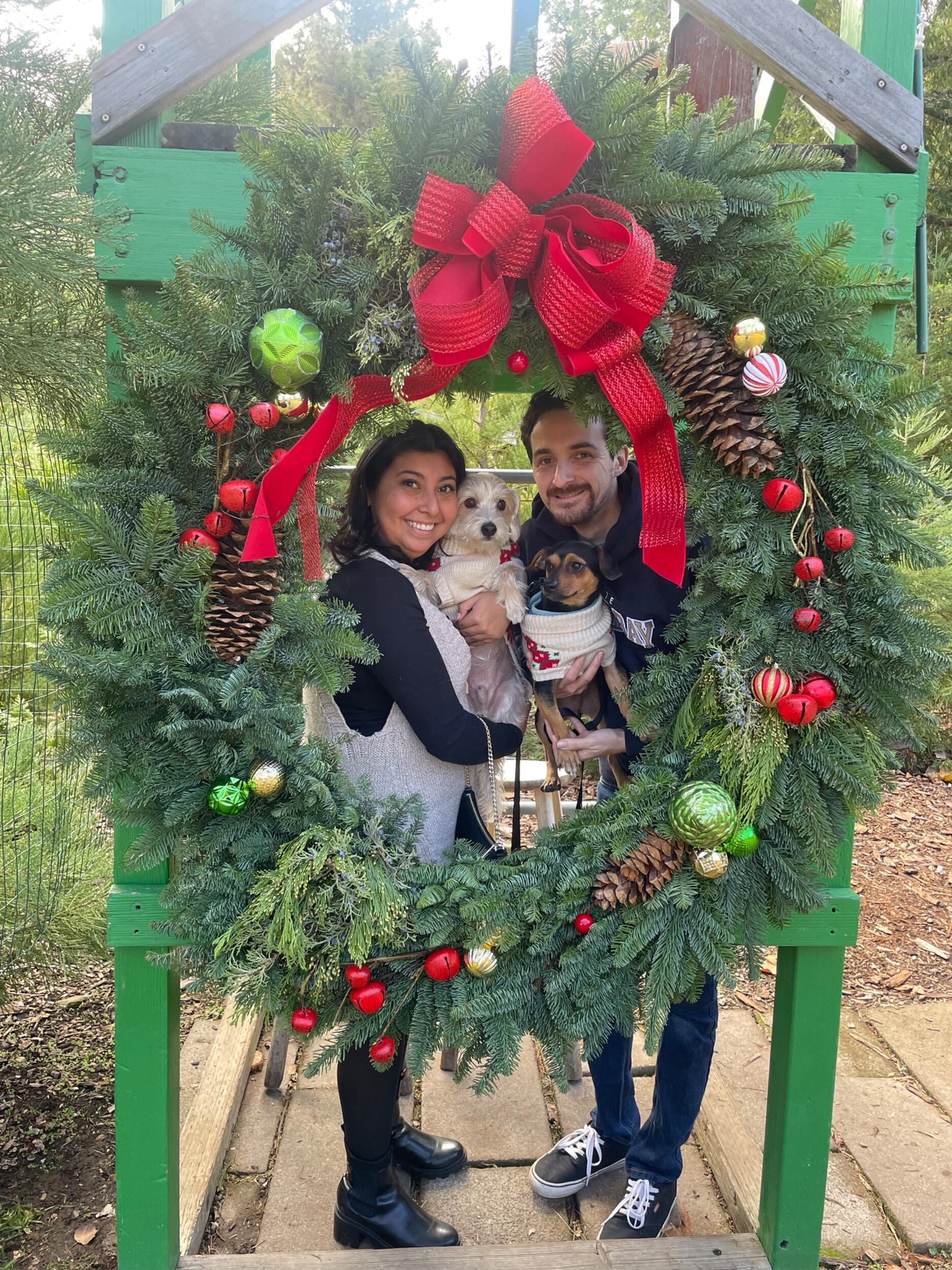 Our first Christmas with Bruno