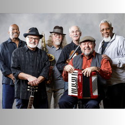 Squeezebox Stompers, profile image