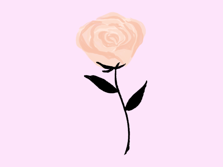 Rose June birth flower
