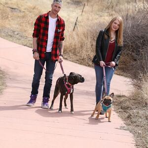 Gallery Photo 23