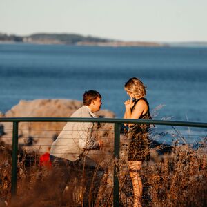 Gallery Photo 52