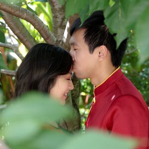 Gallery Photo 7