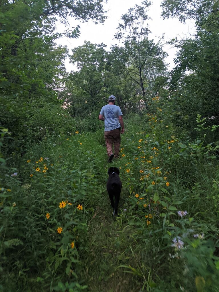 Exploring with the dogs :)