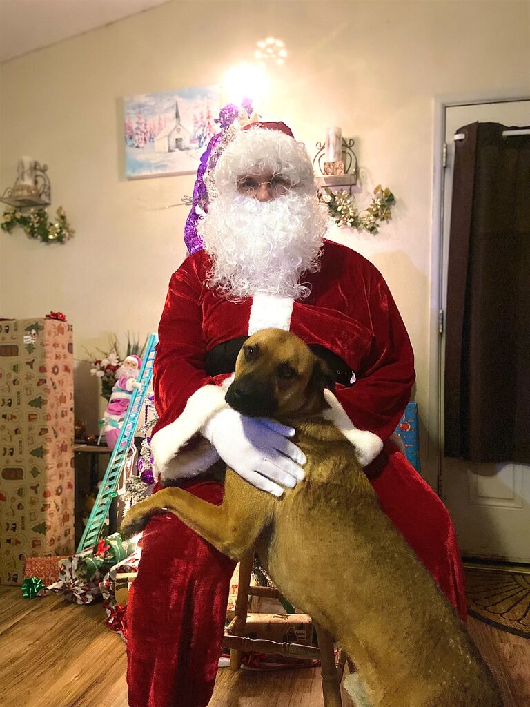 Their first Christmas together!