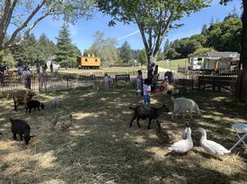 Tails of Redwood Trails - Animal For A Party - Felton, CA - Hero Gallery 4