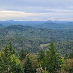 Gallery Photo 46