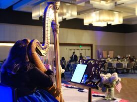 Paula Fagerberg, Harpist - Harpist - Alpharetta, GA - Hero Gallery 2