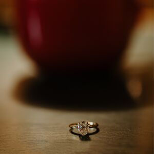 Gallery Photo 13