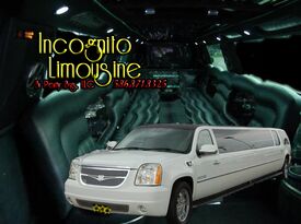 Incognito Limousine and Party Bus - Party Bus - Roseville, MI - Hero Gallery 4