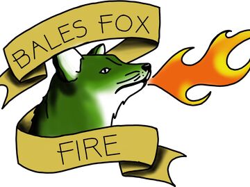 Bales Fox Fire - Fire Dancer - Richmond, IN - Hero Main