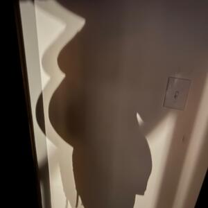 Gallery Photo 11