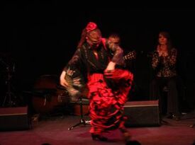 Mehran - Flamenco Guitarist - Chicago, IL - Hero Gallery 4