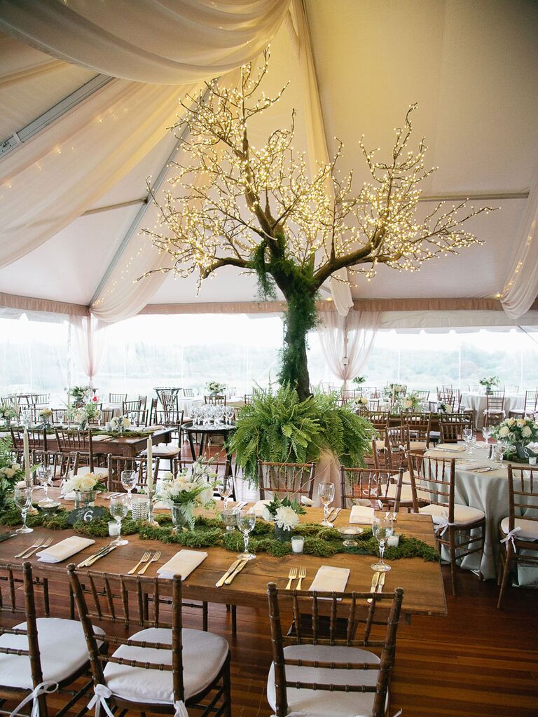Large tree with string lights on branches inside white wedding tent