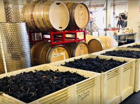 Old County Cellars Winery - Vineyard & Winery - San Carlos, CA - Hero Gallery 3