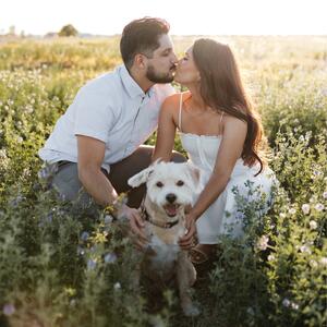 Gallery Photo 12