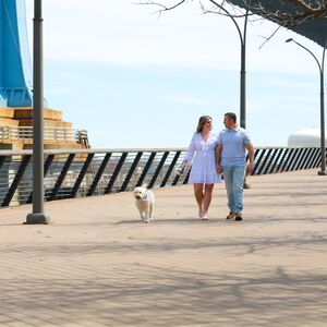 Gallery Photo 30
