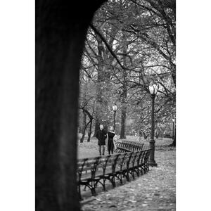 Gallery Photo 16